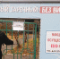 Привиться от ковида можно в выходные - Газета Заречье